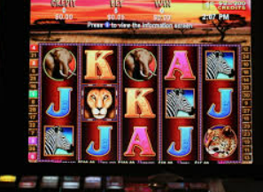 云开足球平台手机版